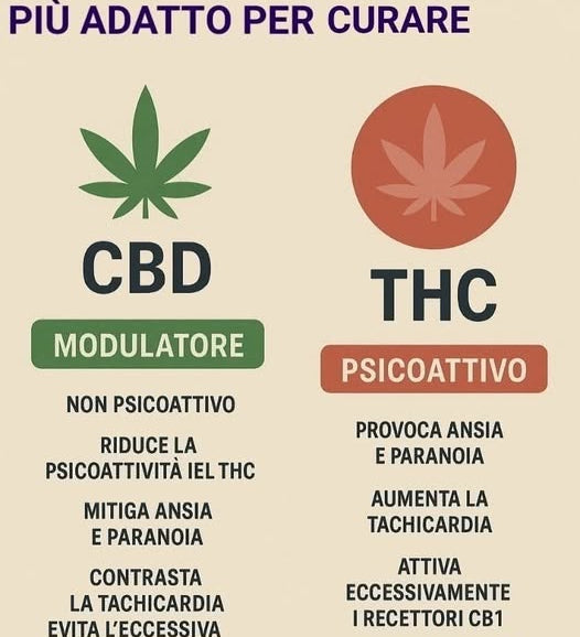 effetti benefici del cbd: il valore clinico del cbd senza thc agrilab