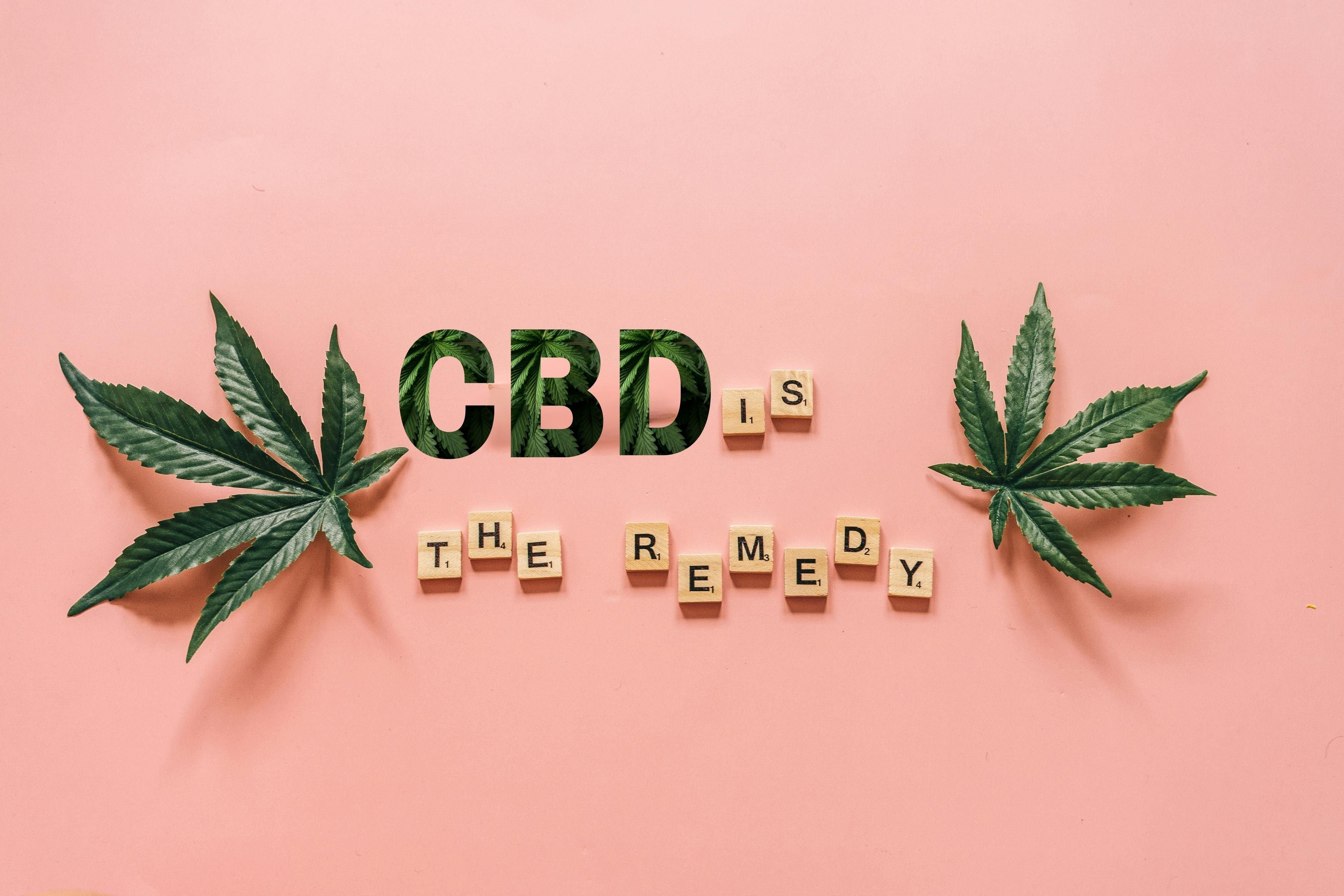 tessere in legno che compongono la scritta cbd is the remedy su sfondo rosa e foglie di canapa sativa a destra e sinistra