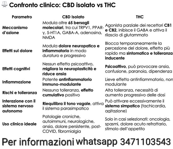 Cannabis terapeutica: come gli effetti collaterali del THC danneggiano i benefici del CBD