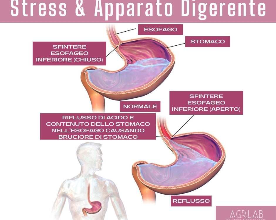LEZIONI DI MEDICINA DEL DR ELIO GAETA: 2° LEZIONE