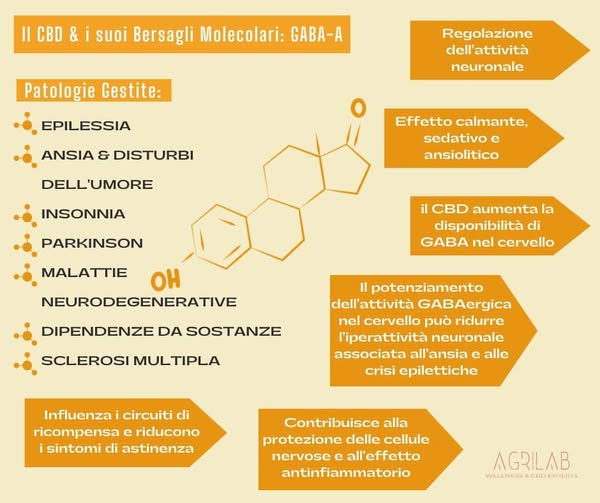 cbd e bersagli molecolari del recettore GABA-A per ansia, insonnia, dolore e neuroprotezione
