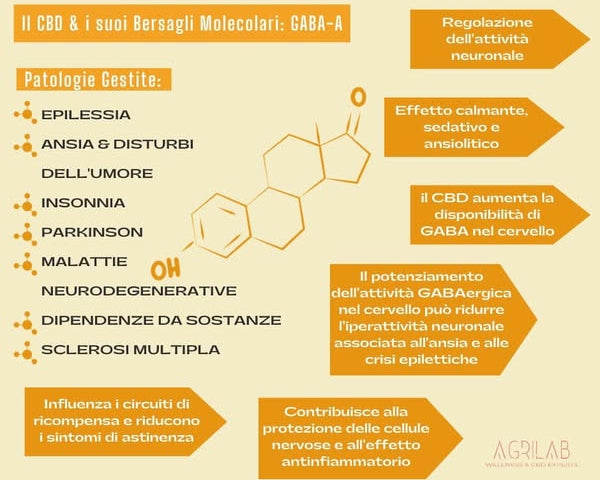 cbd e bersagli molecolari del recettore GABA-A per ansia, insonnia, dolore e neuroprotezione
