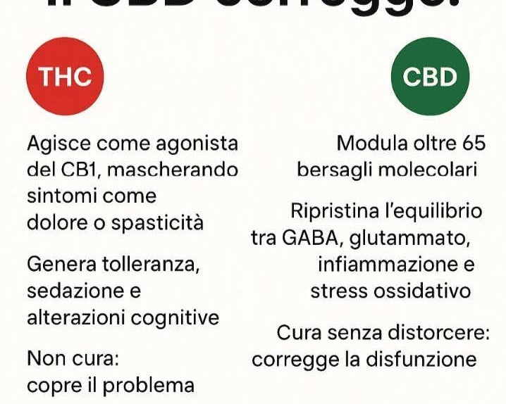 Effetti del CBD: se non hai risultati é colpa del THC
