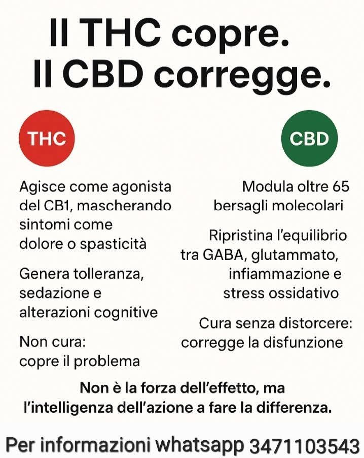 Effetti del CBD: se non hai risultati é colpa del THC