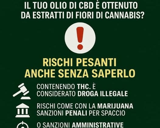 Cos'é il CBD: chiarire per proteggere i consumatori