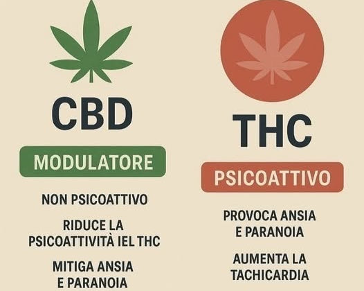 effetti benefici del cbd: il valore clinico del cbd senza thc agrilab