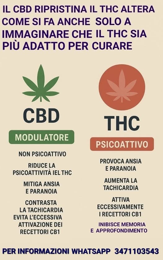 effetti benefici del cbd: il valore clinico del cbd senza thc agrilab