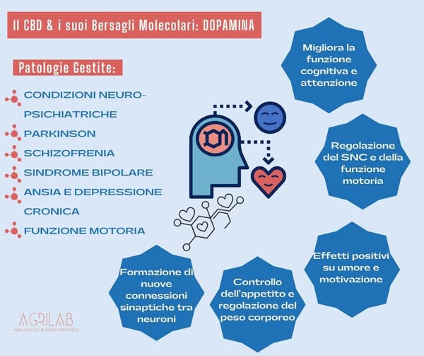 dopamina e cbd bersagli molecolari