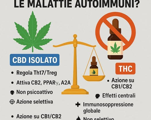 benefici del cbd per cura delle malattie autoimmuni rischi del thc