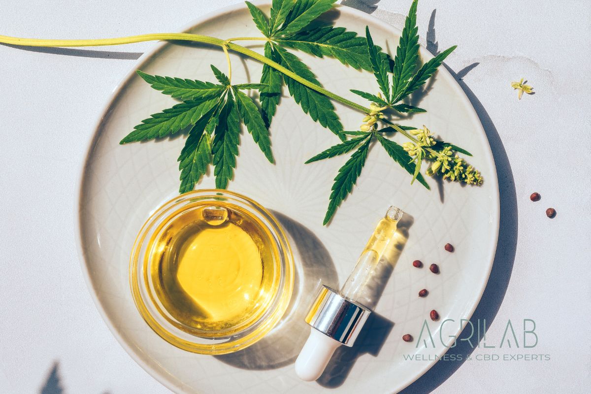 Cos'è il CBD: guida alle origini, i benefici e le modalità di utilizzo