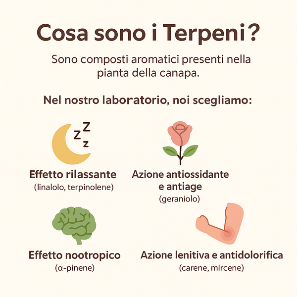 Terpeni della canapa: proprietà e benefici anche per la pelle sensibile