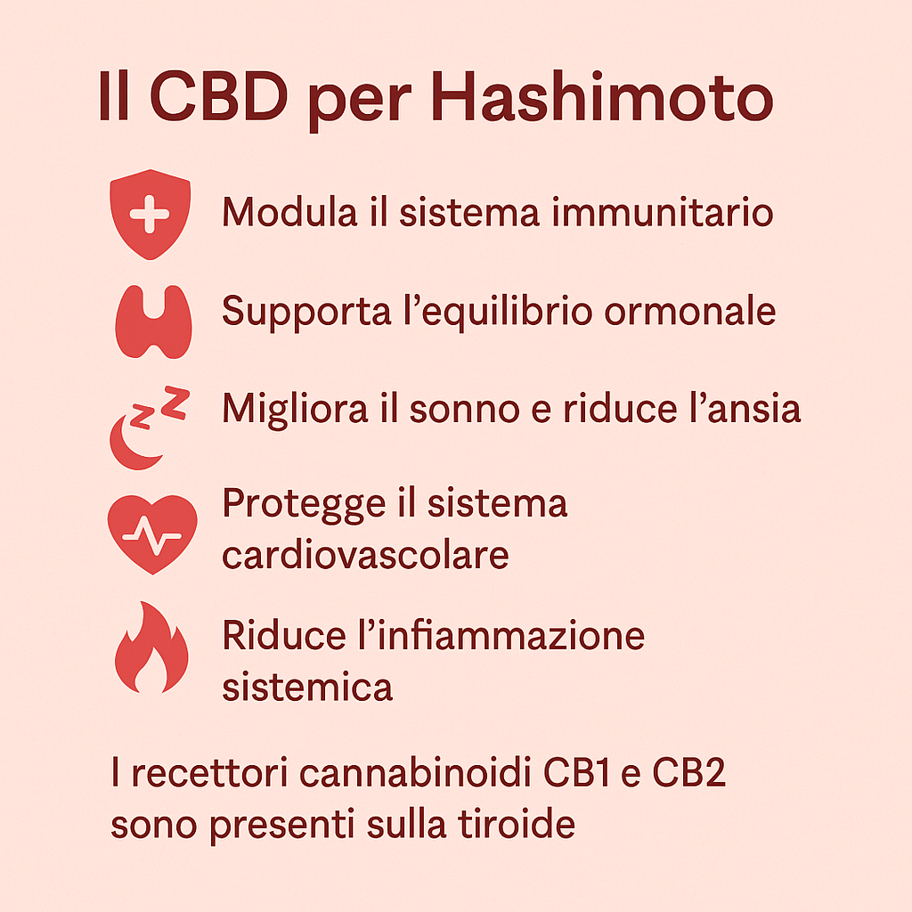 cbd isolato e cura della tiroide di hashimoto