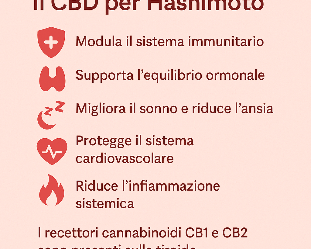 cbd isolato e cura della tiroide di hashimoto agrilab