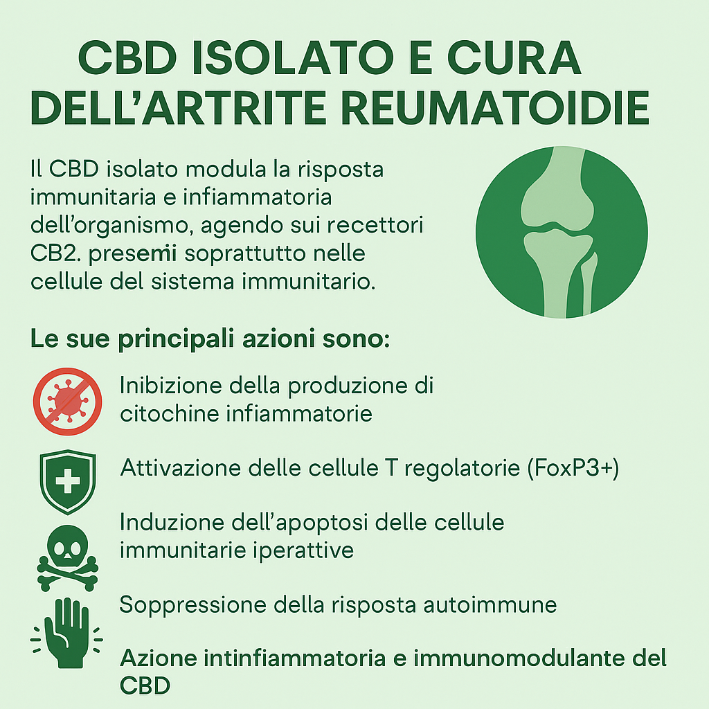 CBD e Artrite Reumatoide: come agisce e benefici