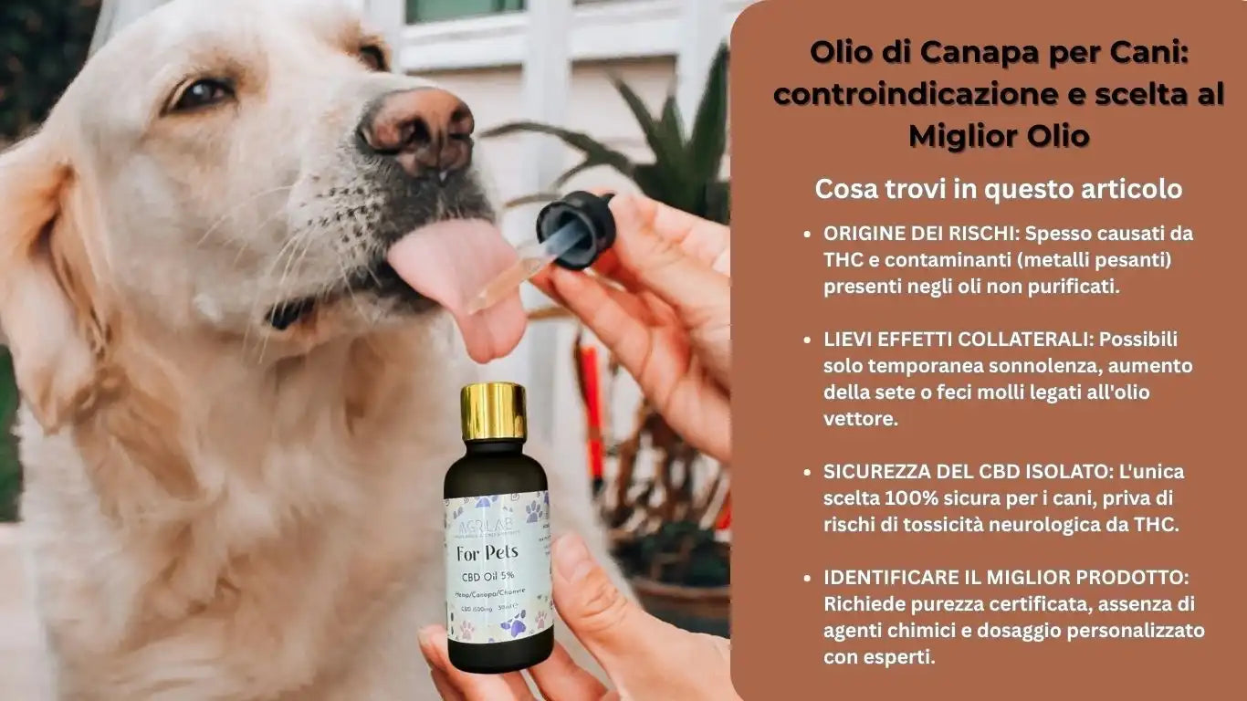 Olio di canapa per cani, controindicazioni e miglior olio