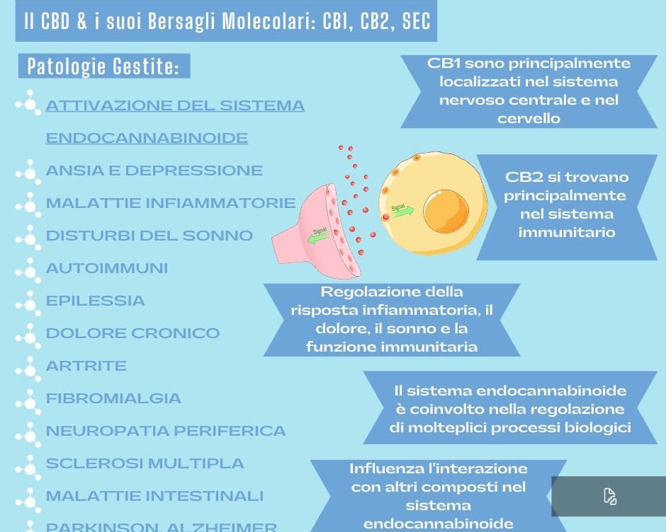cbd e bersagli molecolari per ansia, dolore, insonni e sistema immunitario