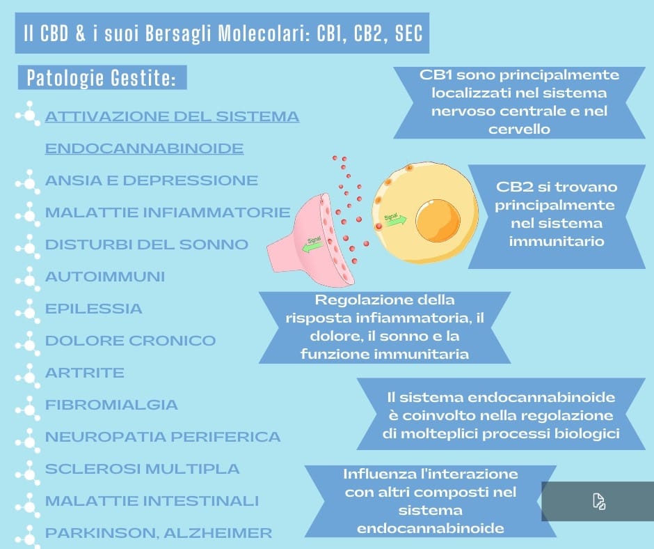 recettori cb1 e cb2 e i bersagli molecolari del cbd