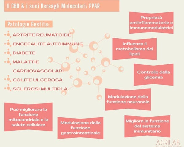 recettore ppar e cbd bersagli molecolari