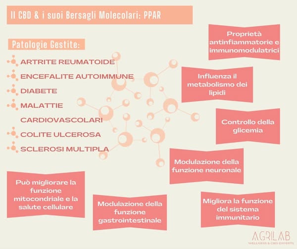 recettore ppar e cbd bersagli molecolari