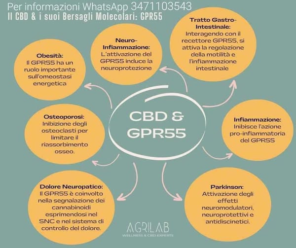 cbd e gpr55 bersagli molecolari 