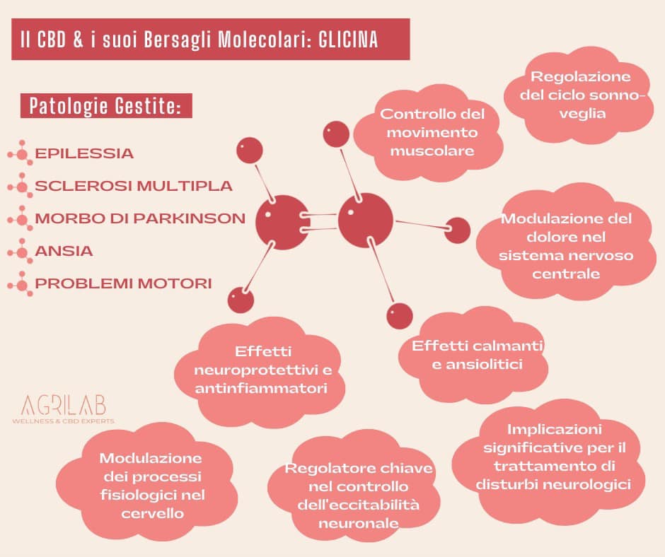 olio di canapa e glicina bersagli molecolari agrilab