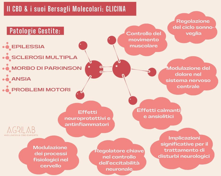 olio di canapa e glicina bersagli molecolari