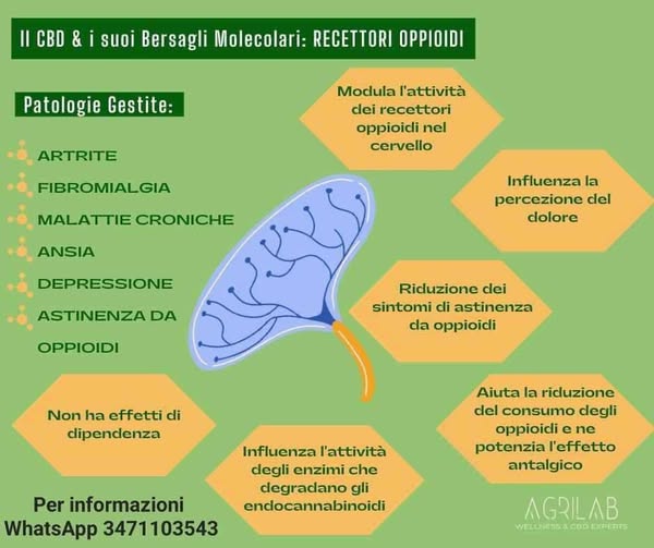 cbd e bersagli molecolari recettori oppioidi per artrite fibromialgia, ansie e depressione