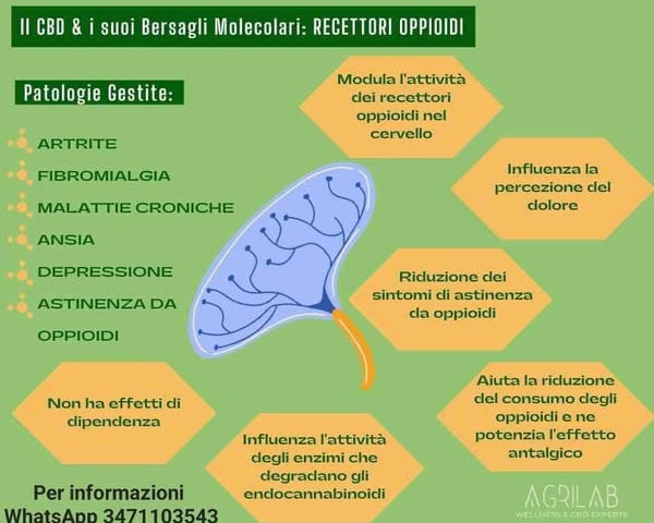 cbd e bersagli molecolari recettori oppioidi per artrite fibromialgia, ansie e depressione