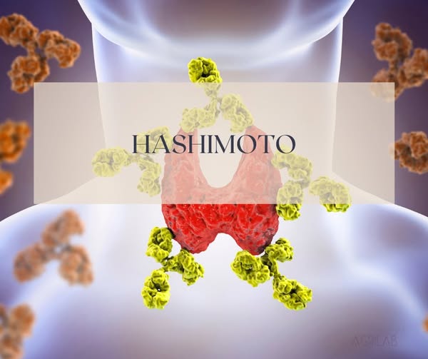 cbd isolato e cura della tiroide di hashimoto