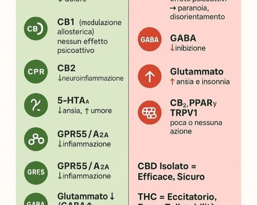 perchè non usare il thc nella cura della fibromialgia