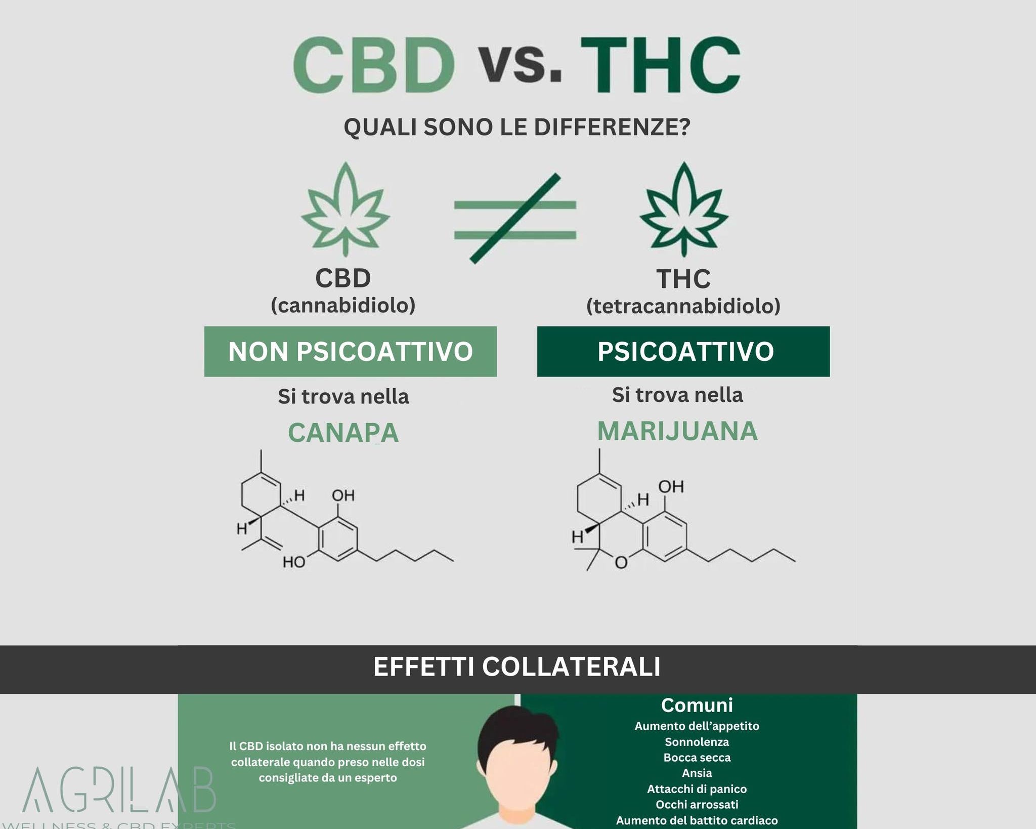 quali sono le differenze tra il cbd e il thc
