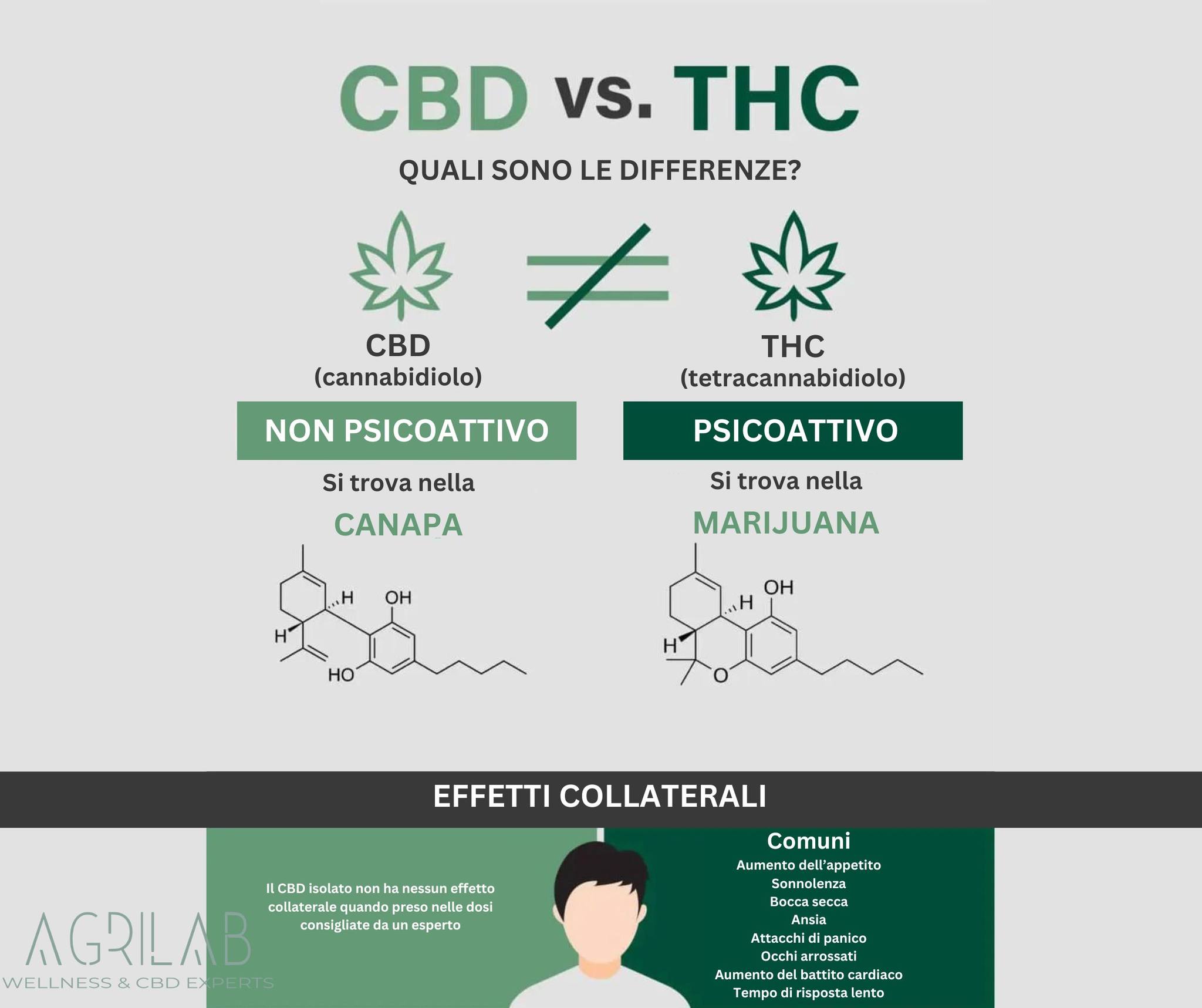 quali sono le differenze tra il cbd e il thc