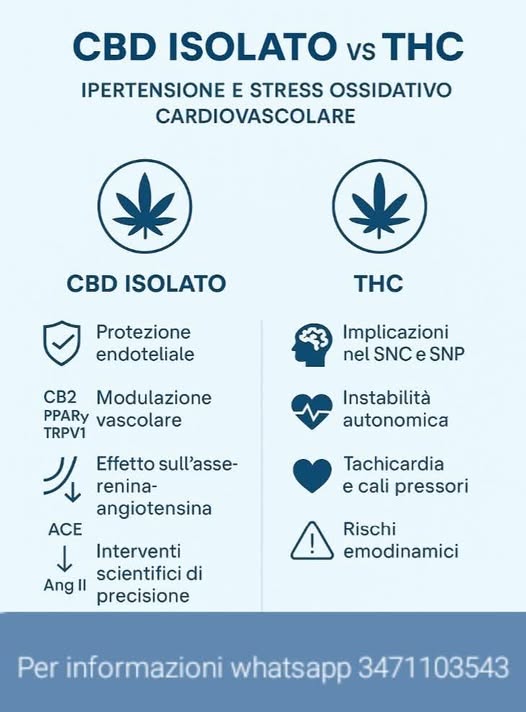 benefici del cbd per l'ipetensione rischi del thc agrilab