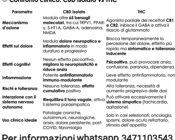 Cannabis terapeutica: come gli effetti collaterali del THC danneggiano i benefici del CBD