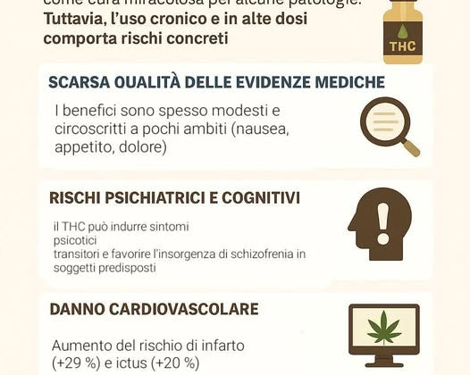 agrilab cannabis: cos'é il THC e gli effetti collaterali