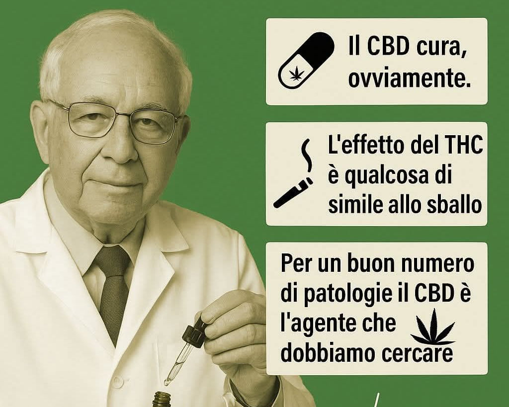 agrilab origini della cannabis e la scoperta della differenza tra cbd e thc
