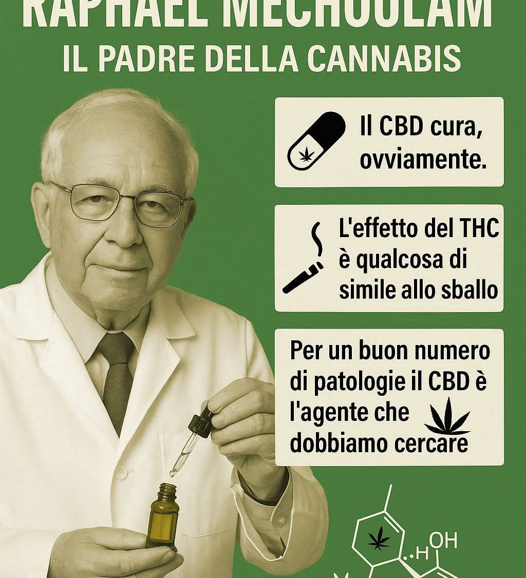 agrilab origini della cannabis e differenze tra cbd e thc nell'uso medico