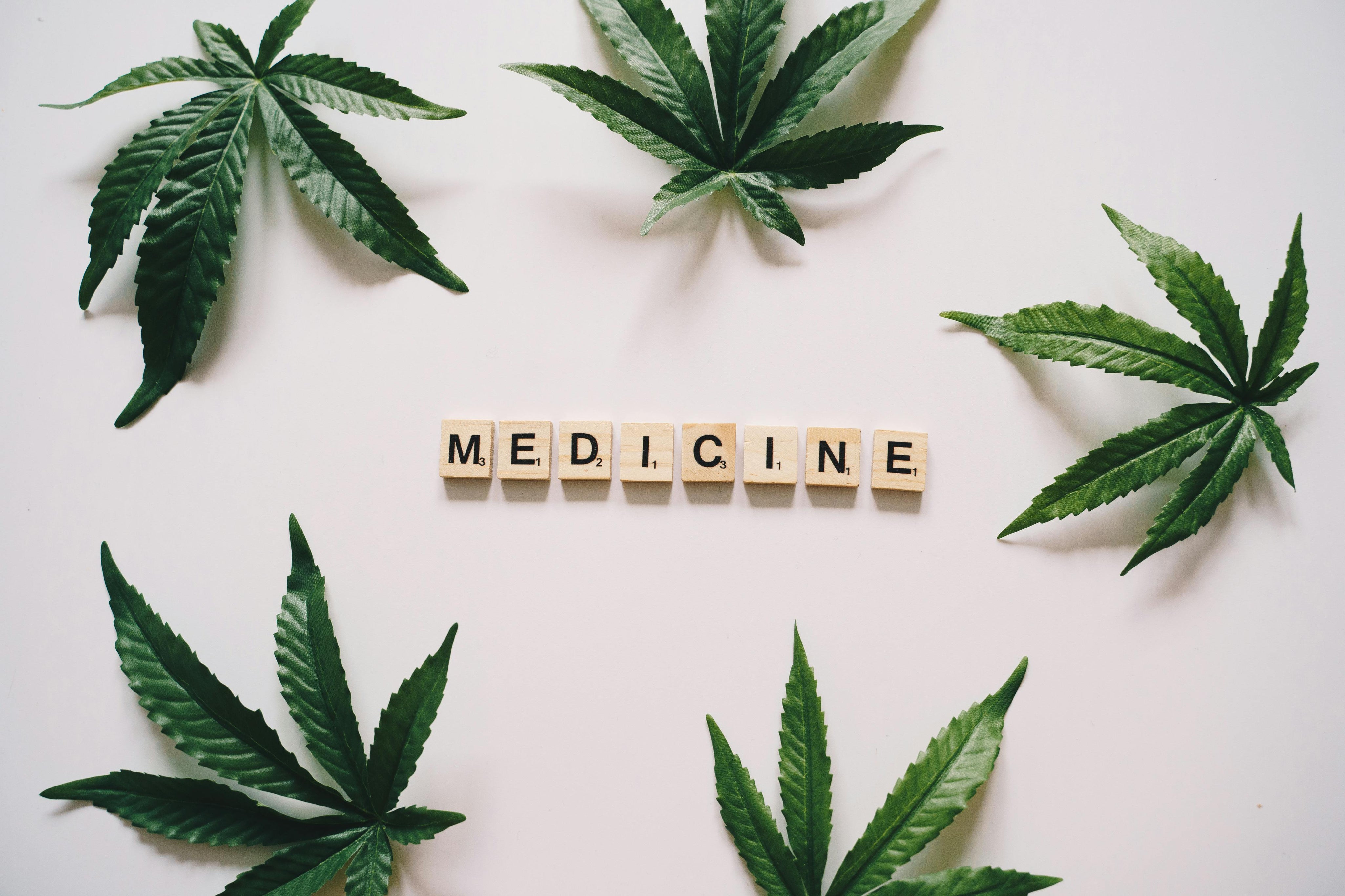 tesserine in legno che compongono la parola medicine su sfondo bianco e foglie di cannabis attorno