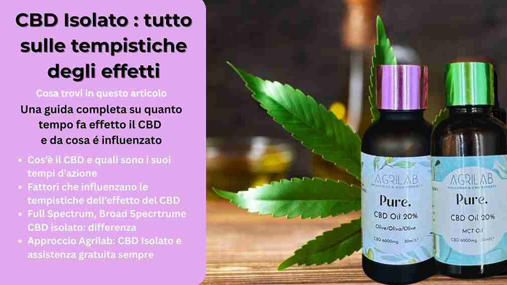 Quanto tempo ci mette il CBD a fare effetto? Tutto ciò che devi sapere