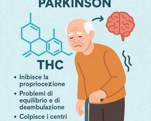benefici del cbd per il parkinson rischi nell'uso del THC