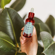 olio di cbd per il viso anti rughe agrilab back to basics   agrilab-shop.myshopify.com product_type AGRILAB SHOP