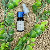 boccetta da 30 ml con dosatore di cristalli puri CBD olio vettore di canapa su paglia e pianta grassa   agrilab-shop.myshopify.com product_type AGRILAB SHOP