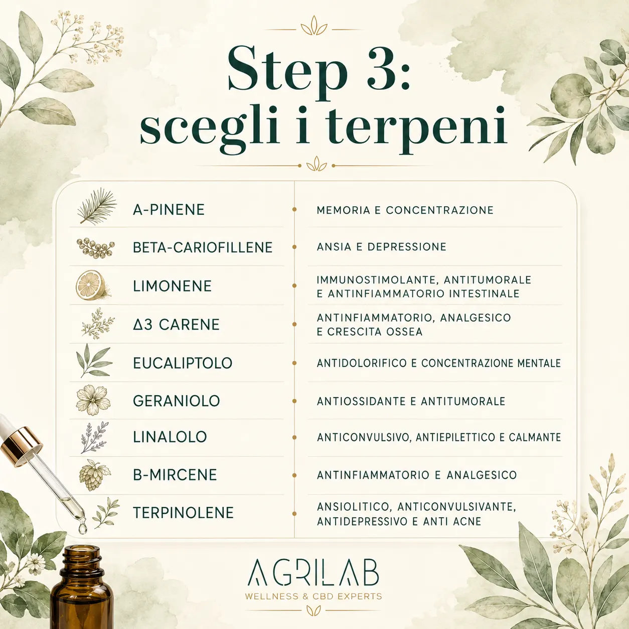 Créez votre propre huile de CBD personnalisée (10 ml)